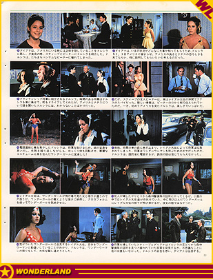  1980 by Town Mook. Published in Japan.