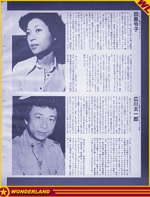  1980 by Town Mook. Published in Japan.