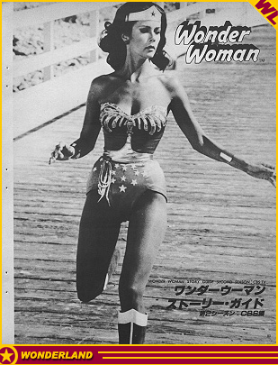 © 1980 by Town Mook. Published in Japan.