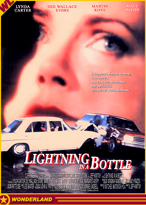 LIGHTNING IN A BOTTLE -  1993 by Matovich Productions / Curb Entertainment.