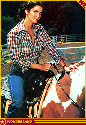 LYNDA CARTER -  1980 by Ken Bank.