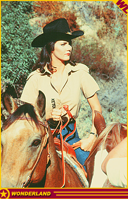 LYNDA CARTER -  1978 by Editorial Julio Korn S.A.C.I.F. /  2004 The Wonderland Collection.