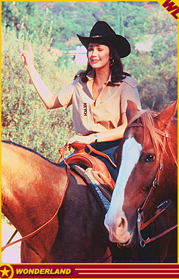 LYNDA CARTER -  1978 by Editorial Julio Korn S.A.C.I.F. /  2004 The Wonderland Collection.