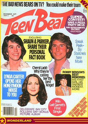 MAGAZINE COVERS - © 1977 by Teen Beat / Ideal.