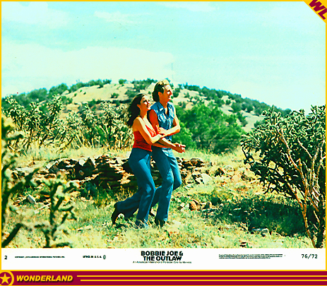 VARIOUS - © 1976 by American International Pictures.
