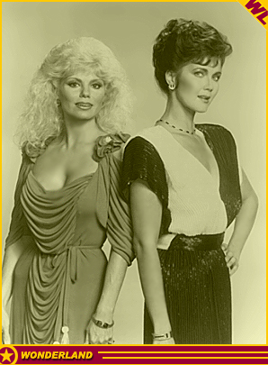 VARIOUS -  1984 by Carson Productions / Columbia Pictures Television.