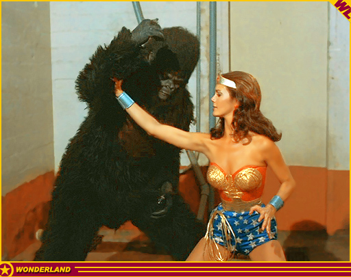 WONDER WOMAN -  1976 by Warner Bros. TV / ABC-TV.