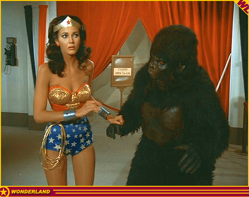 WONDER WOMAN -  1976 by Warner Bros. TV / ABC-TV.