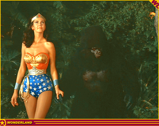 WONDER WOMAN -  1976 by Warner Bros. TV / ABC-TV.