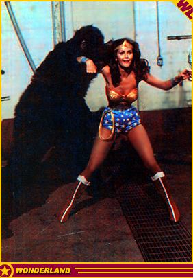 WONDER WOMAN -  1976 by Warner Bros. TV / ABC-TV.