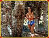 "The New Adventures Of Wonder Woman"