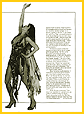 CLICK To ENLARGE